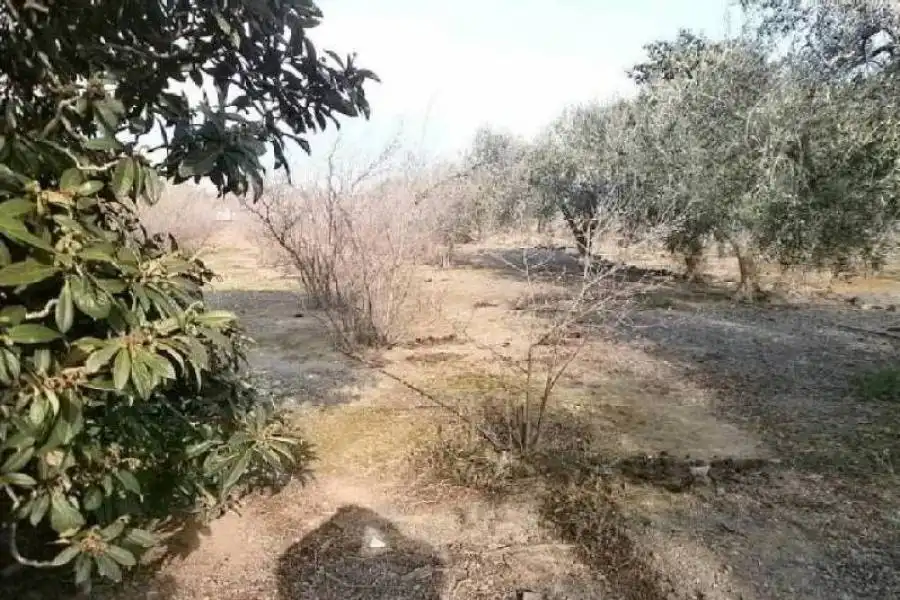Terreni e lotti in vendita a Riudecols, imagen 13