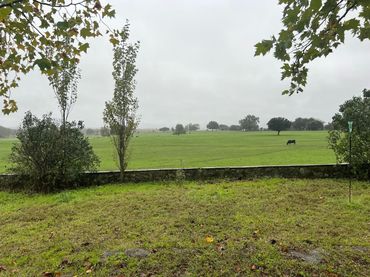 Rural land for sale in Lanzahíta