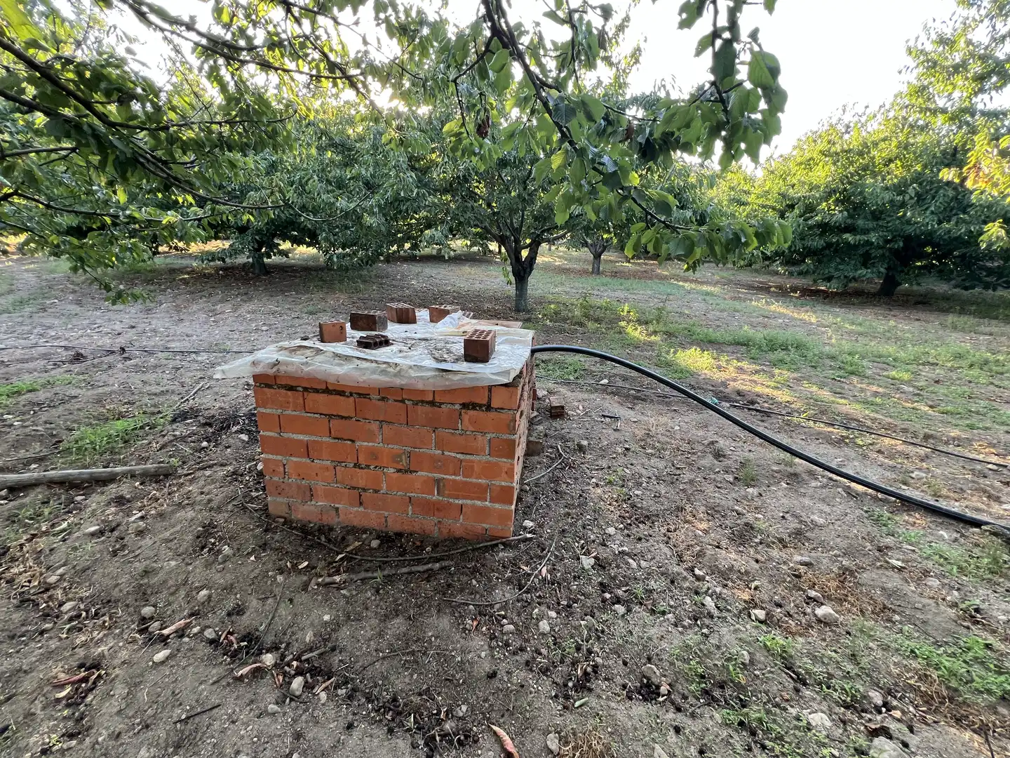Terreni e lotti in vendita a Garganta la Olla, imagen 11
