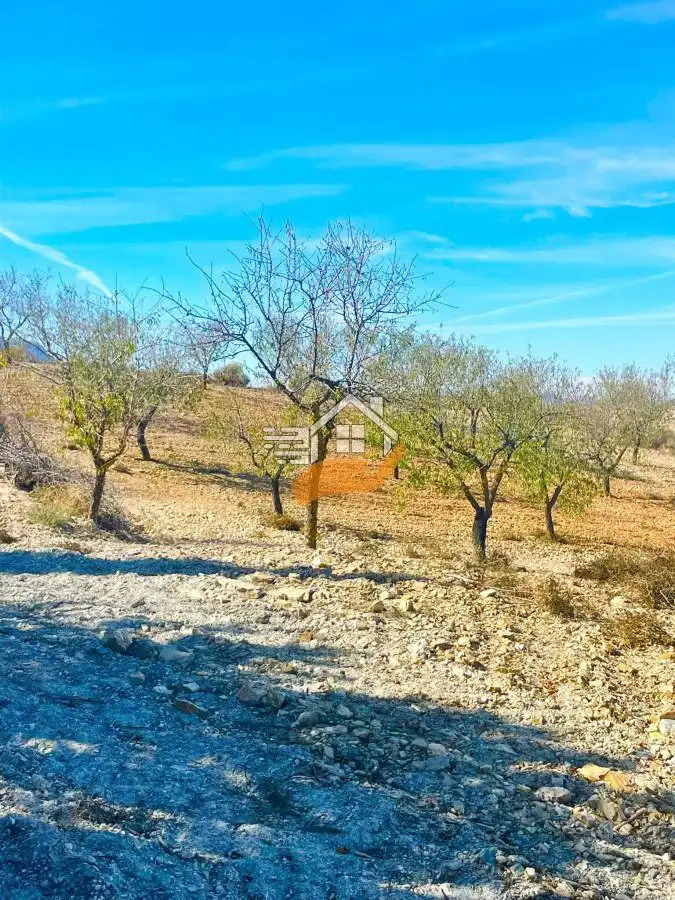 Casa rústica en venda a Vélez-Rubio, imagen 3