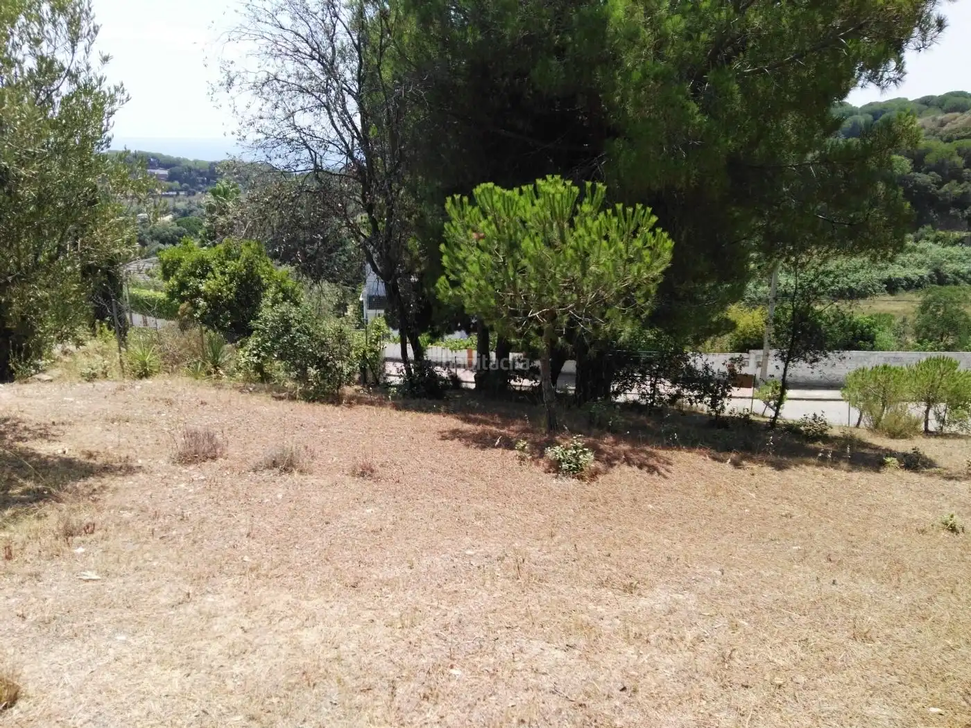 Wohnbaugrundstück zum Verkauf in Carrer Cami de Canet 131, imagen 4