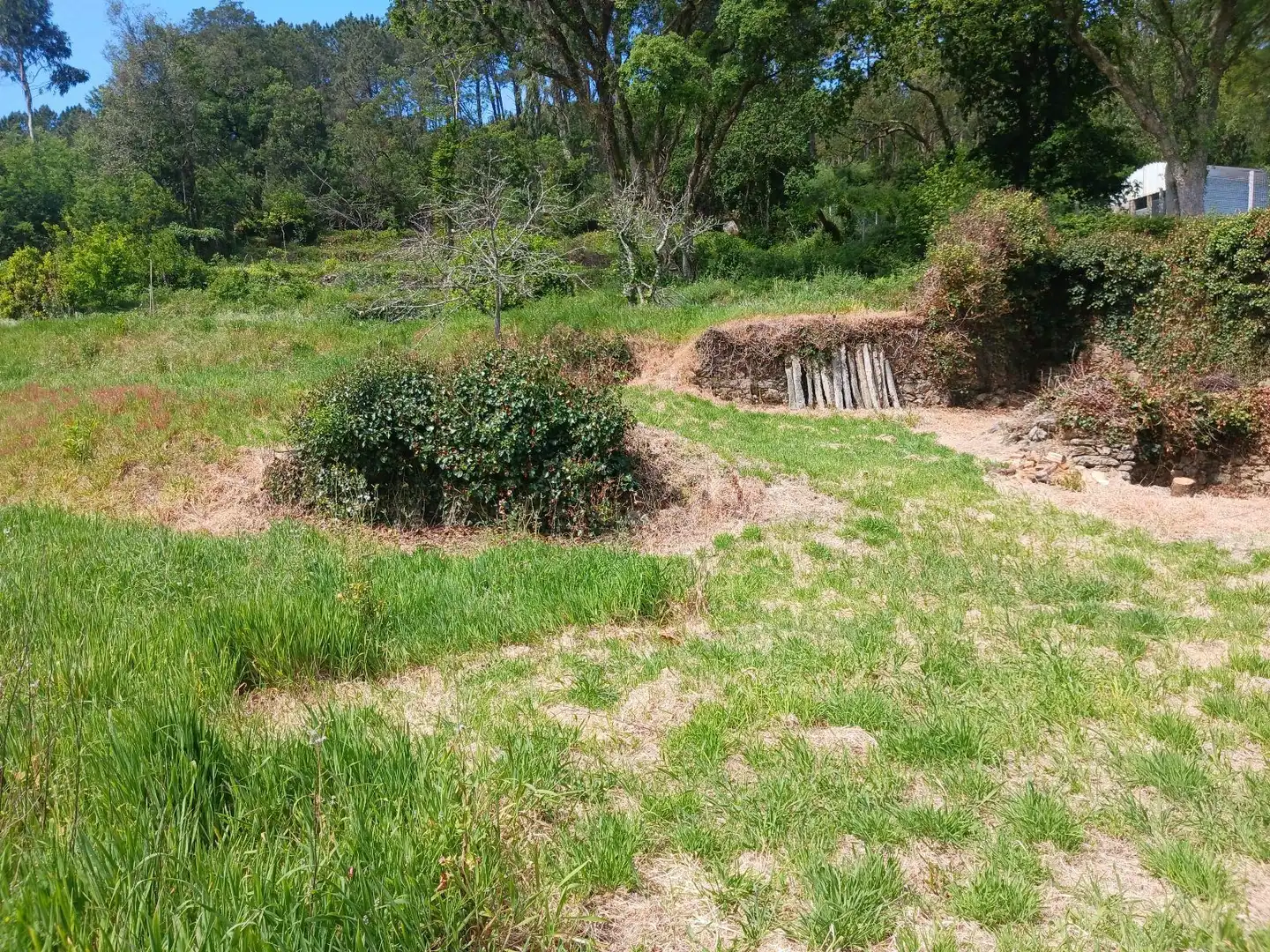 Maison à vendre à Da Fecha, imagen 12