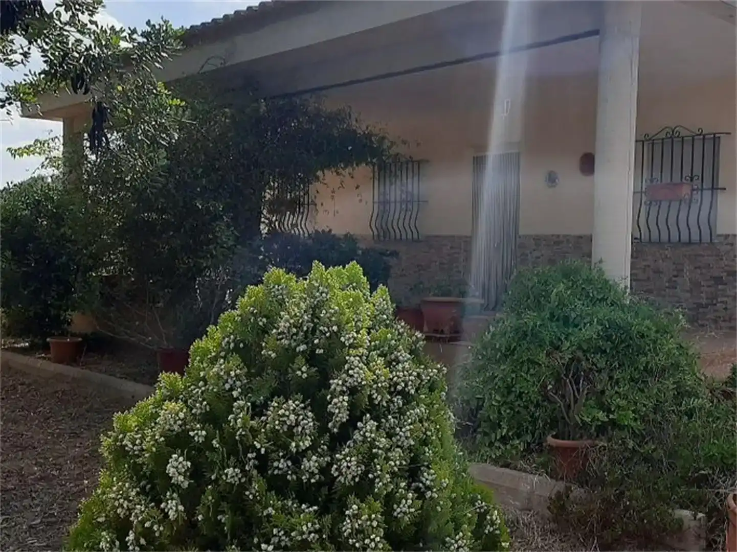 Jardín de Casa o chalet en venta en Cheste con Aire acondicionado