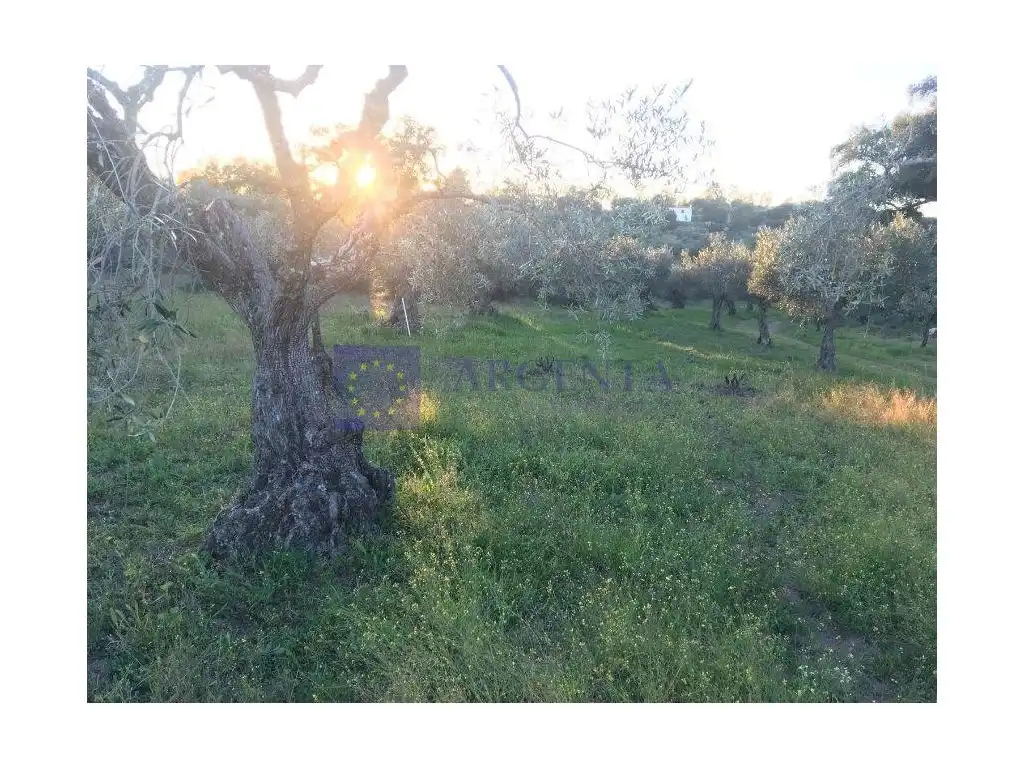 Terrenos y solares en venta en Calle Barrionuevo Grande