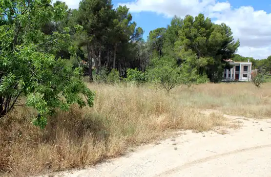 Terreno residencial en venta en Caravaca de la Cruz, imagen 3
