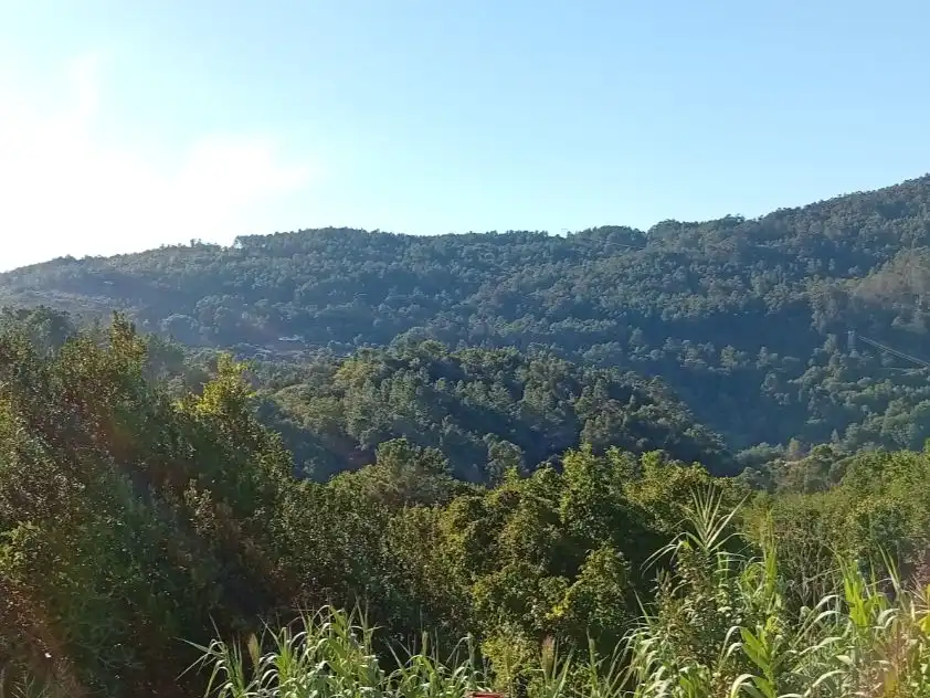 Houses for sale in Padrenda  with Private garden and Furnished