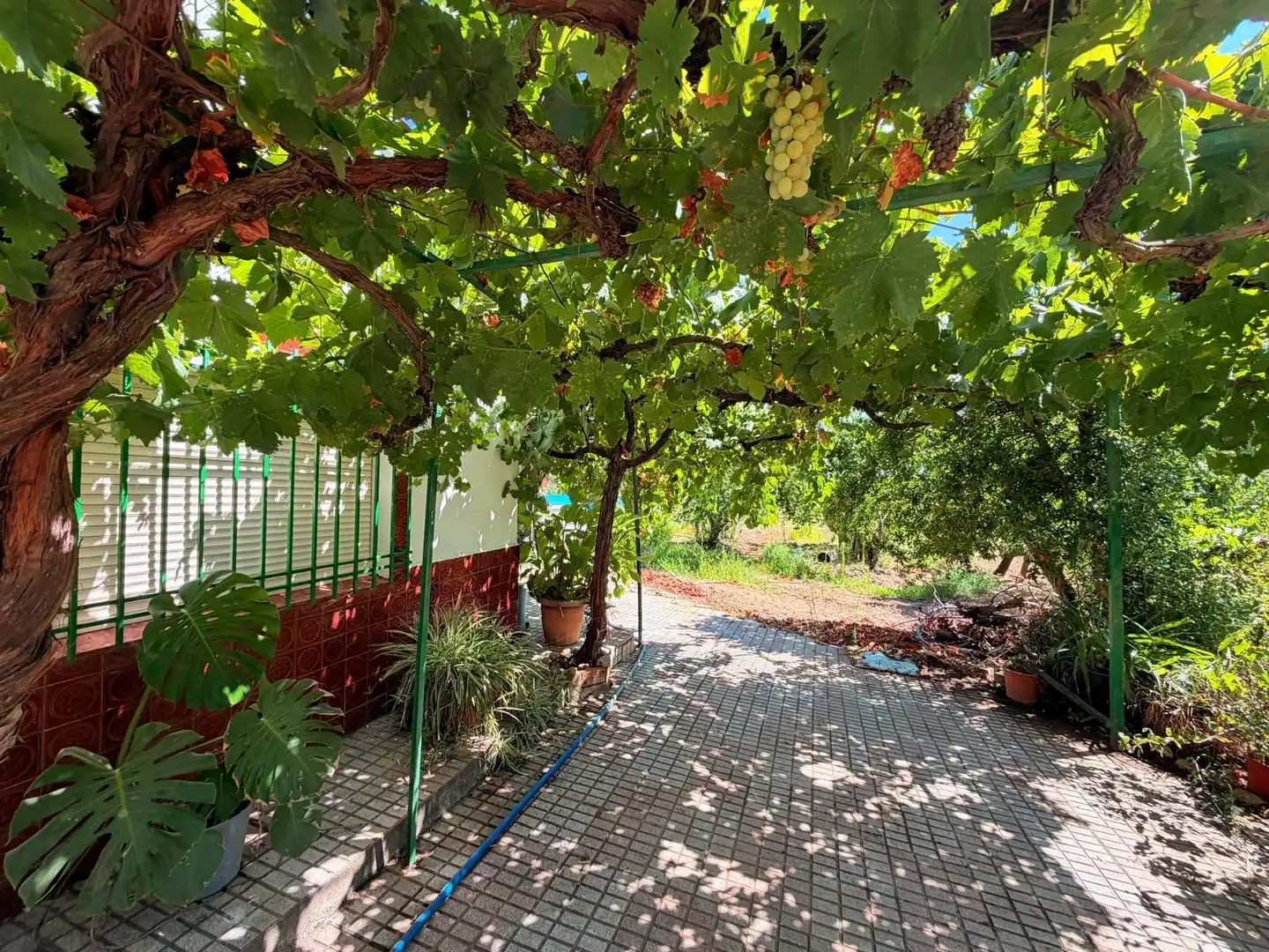 Jardín de Casa o chalet en venta en Valverde de Mérida con Jardín privado, Terraza y Trastero