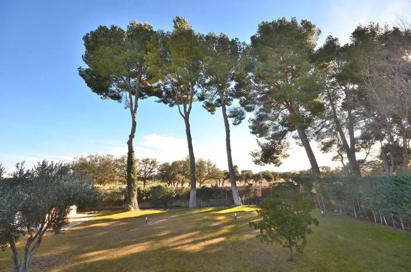 Jardín de Casa o chalet de alquiler en Albacete con Calefacción, Jardín privado y Trastero