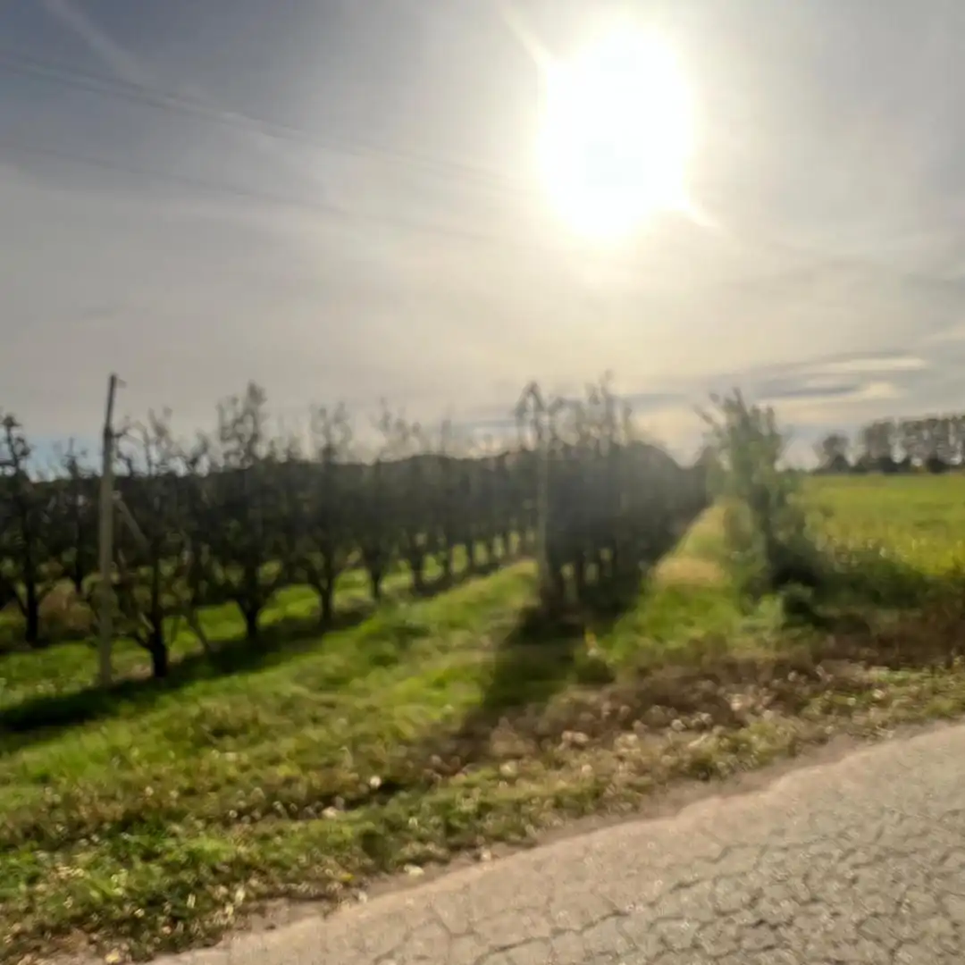 Terrenos y solares en venta en Camino 78, imagen 8