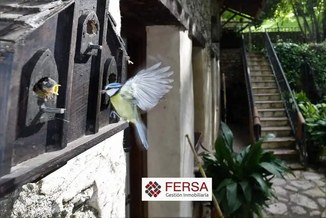 Chalet con piscina en venta en Grazalema, imagen 15