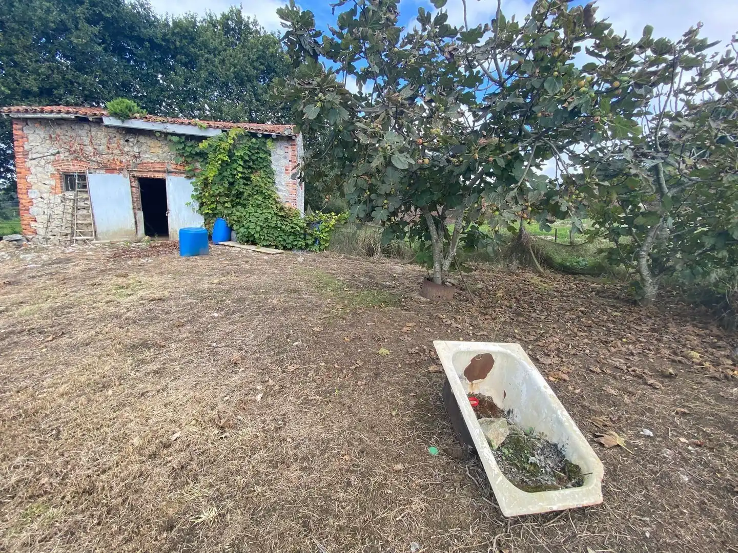 Finca rústica en venta en Argoños