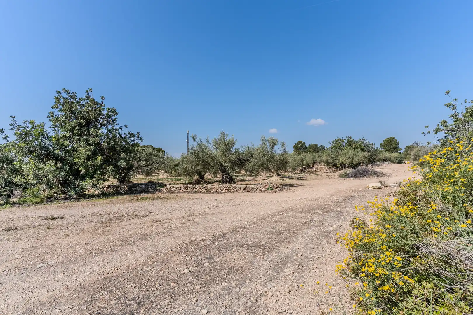 Land for sale in El Perelló