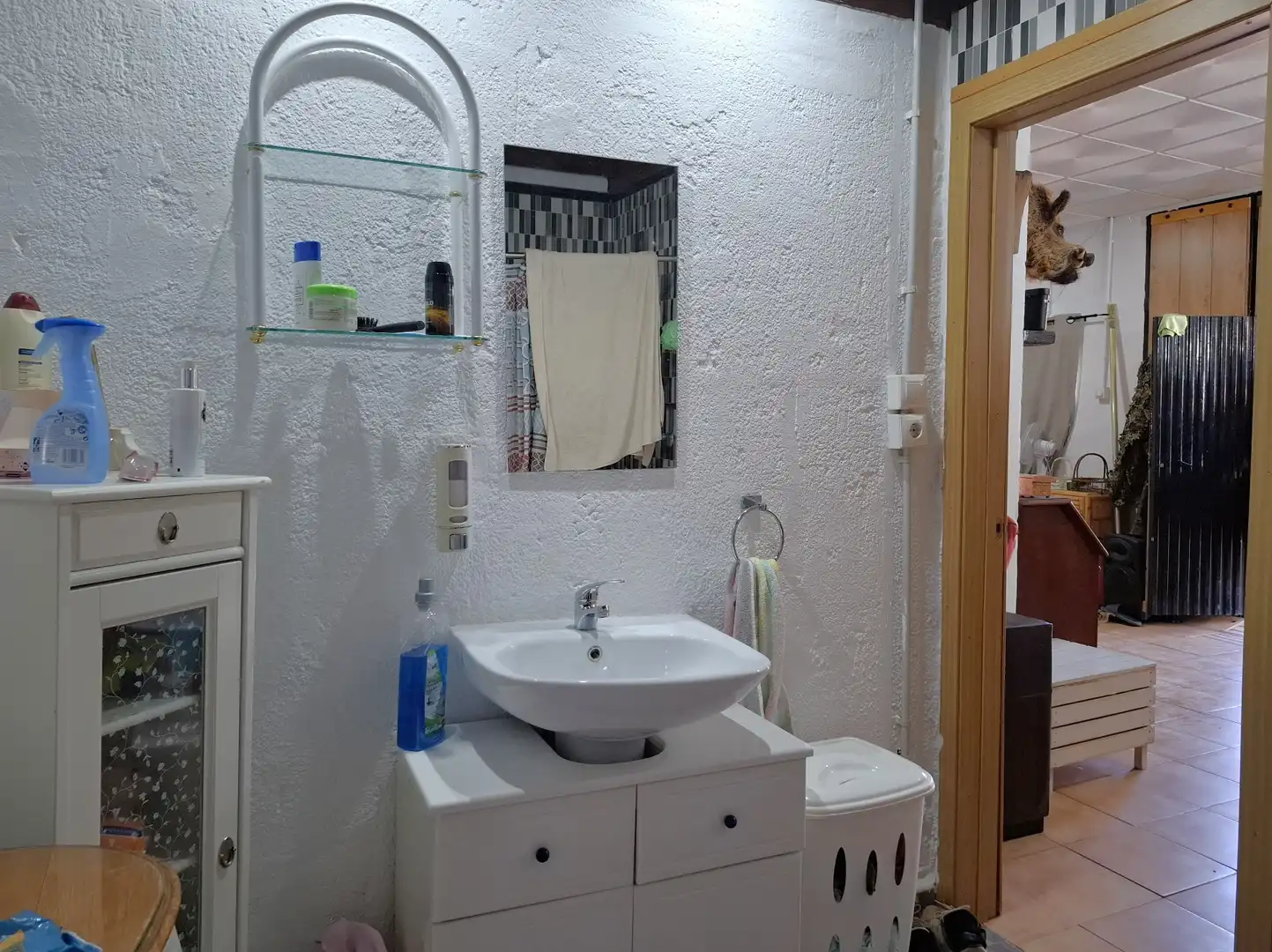 Baño de Finca rústica en venta en Colmenar