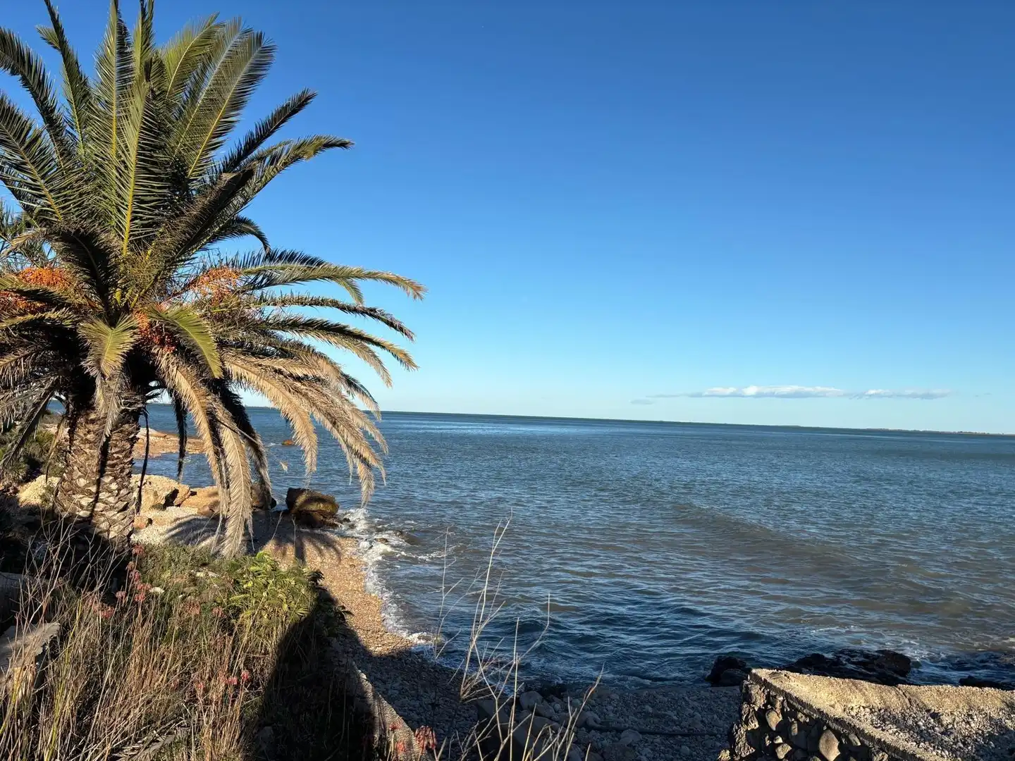 Vista exterior de Casa o xalet en venda en Alcanar amb Jardí privat, Traster i Piscina
