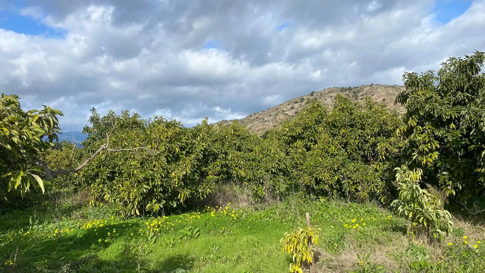 Terreno rustico in vendita a Alquería - Torrealquería, imagen 5