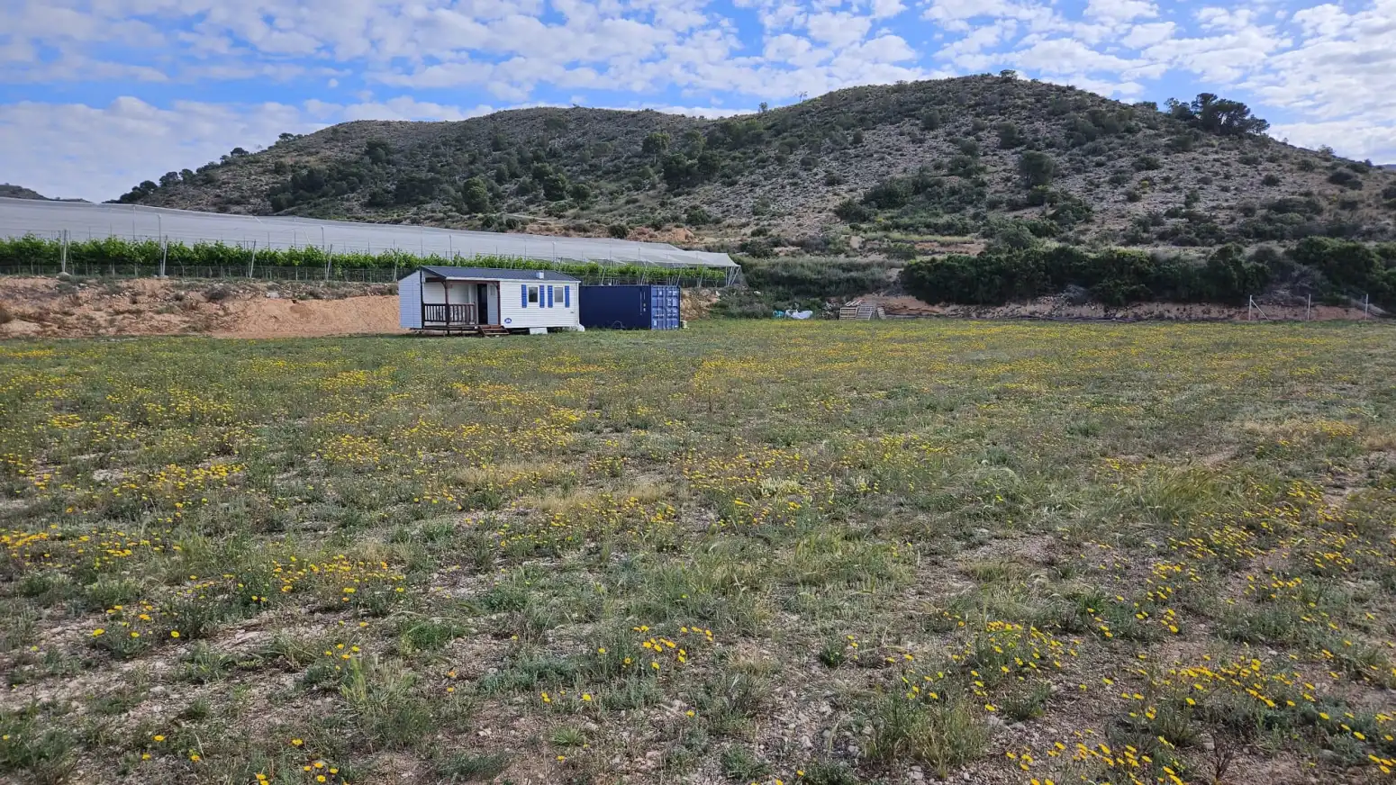 Rural land for sale in Novelda - PARTIDA LA CHIRICHOLA, imagen 3