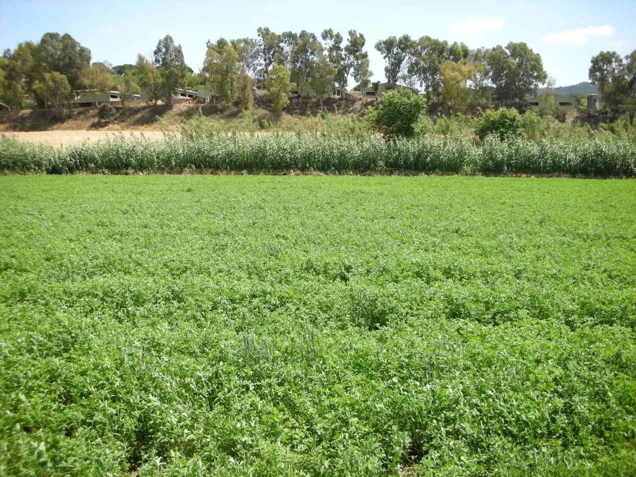 Land for sale in Vilanova del Vallès