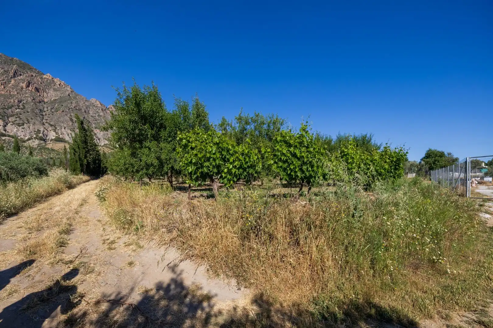 Rural land for sale in Dúrcal, imagen 22