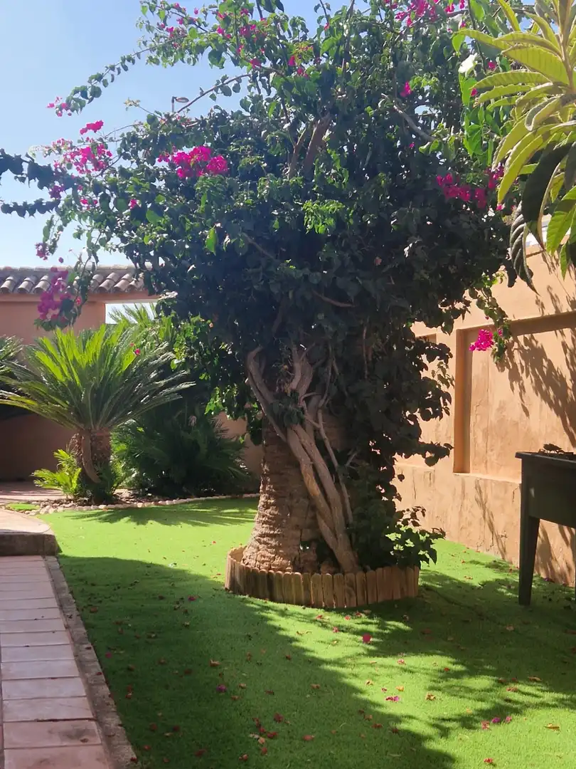 Xalet amb jardí en venda a El Juncal - Vallealto, imagen 5