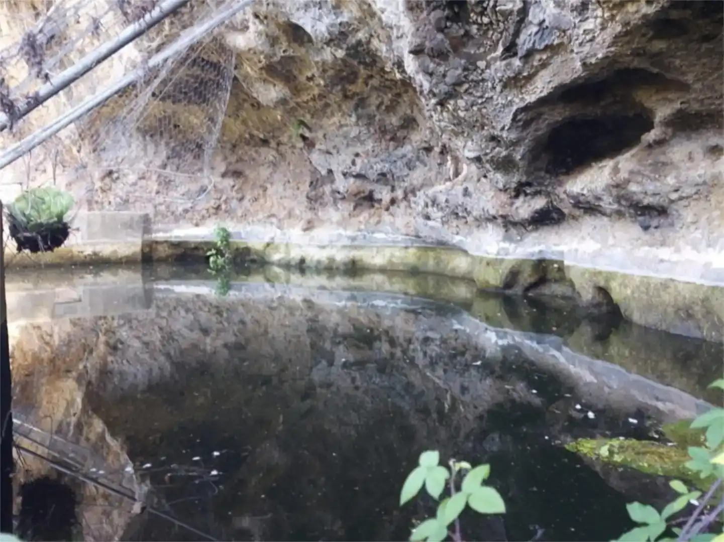 Schwimmbecken von Grundstücke zum Verkauf in Valleseco