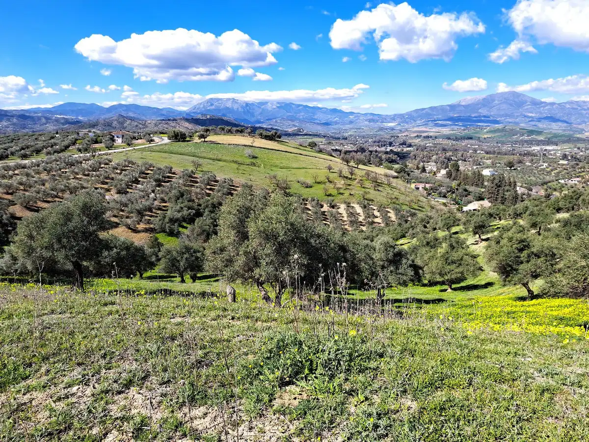 Terreni e lotti in vendita a Coín