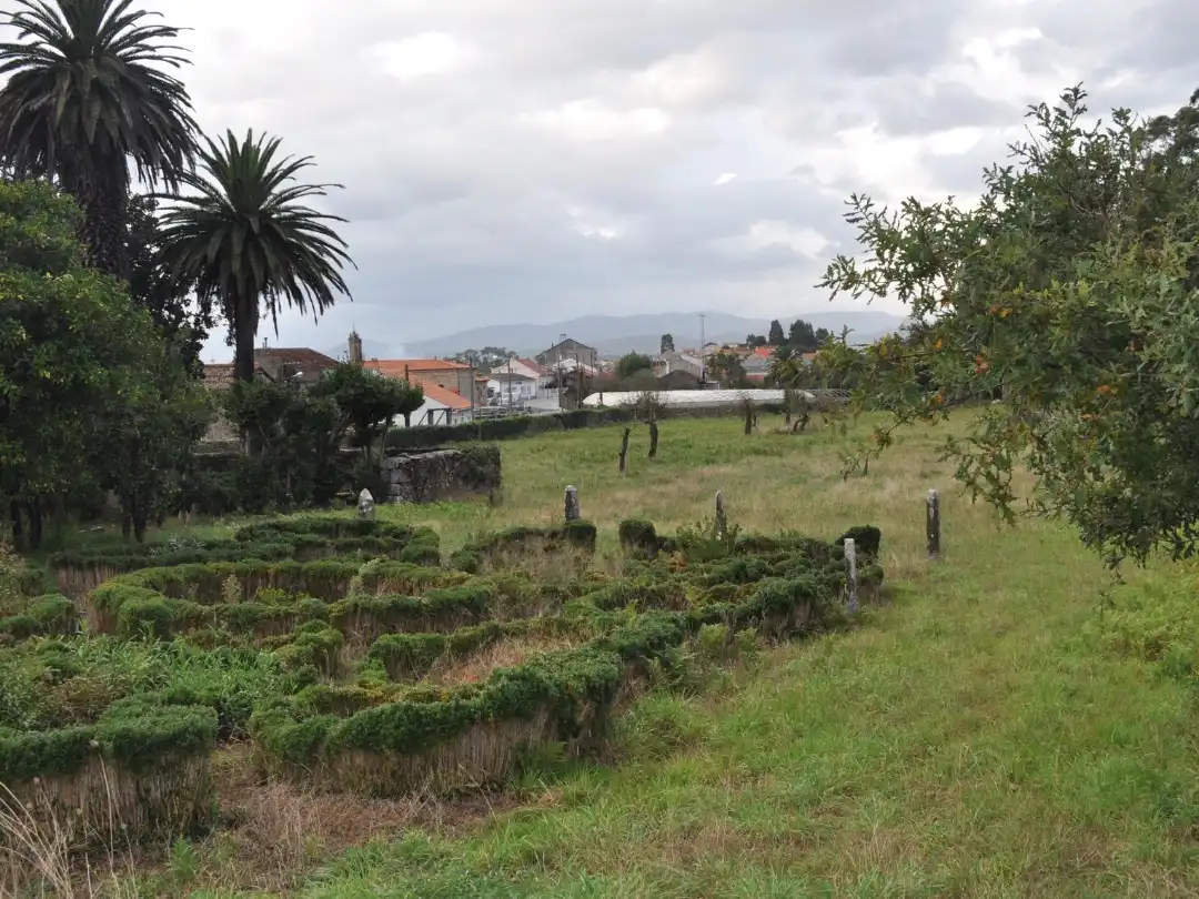 Terreno rustico in vendita a Rua Feal 0, imagen 6