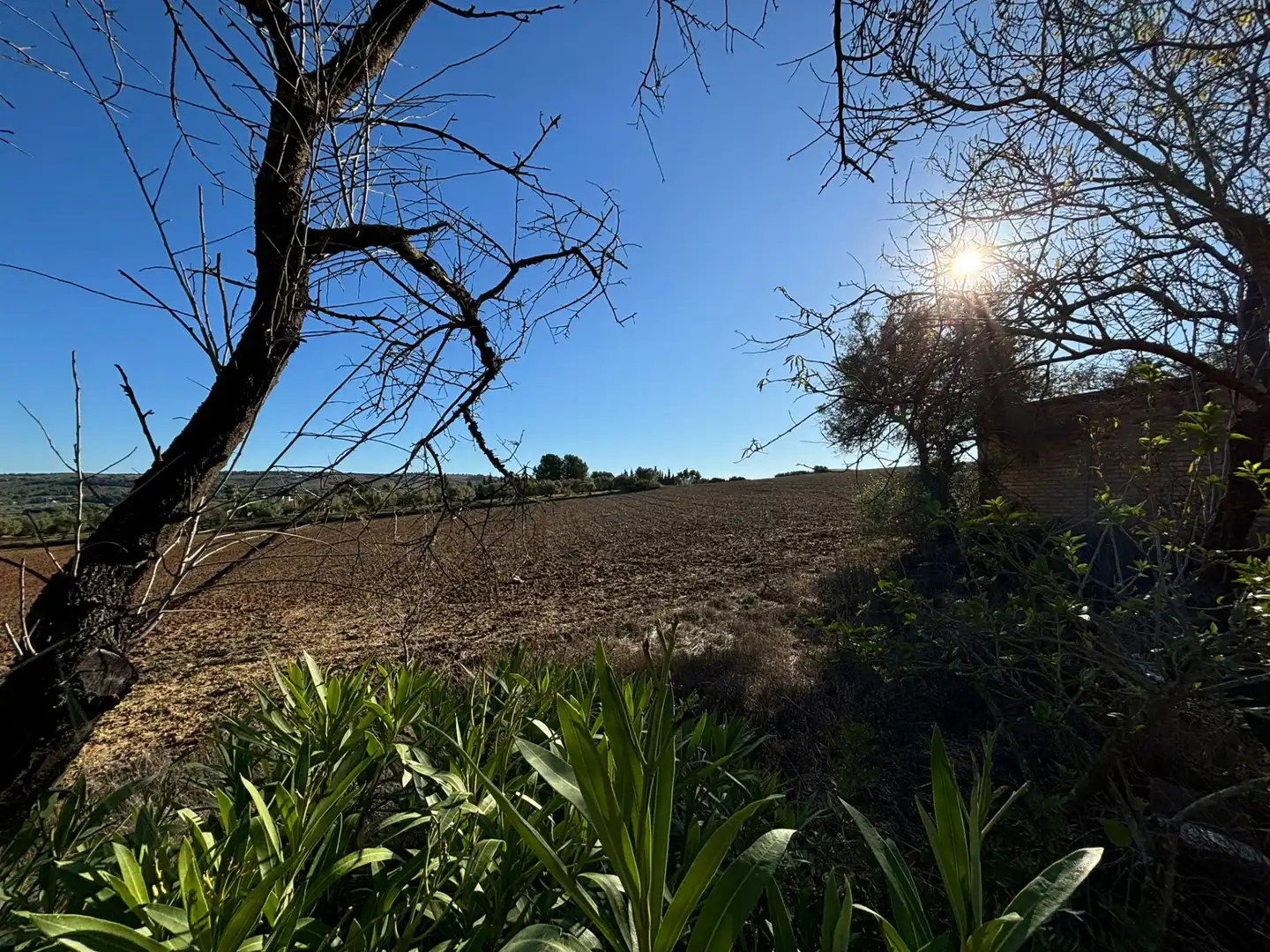 Terreny en venda en Arcos de la Frontera