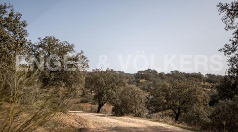 Foto 2 de Finca rústica en venta en Guadalcanal, Sevilla