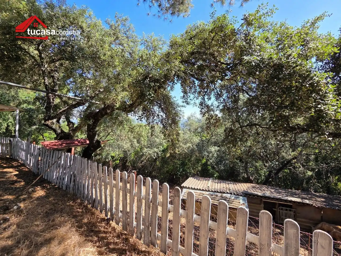 Maison rustique à vendre à Periurbano Oeste - Sierra, imagen 26