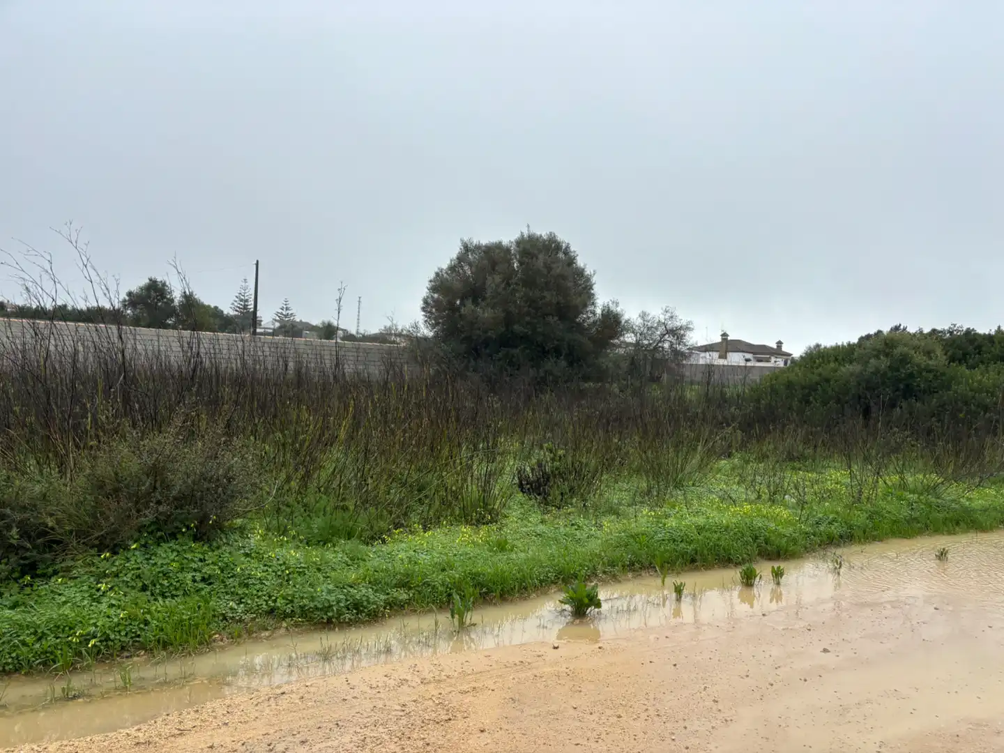 Terreni e lotti in vendita a Carril los Panzitas 37, imagen 12