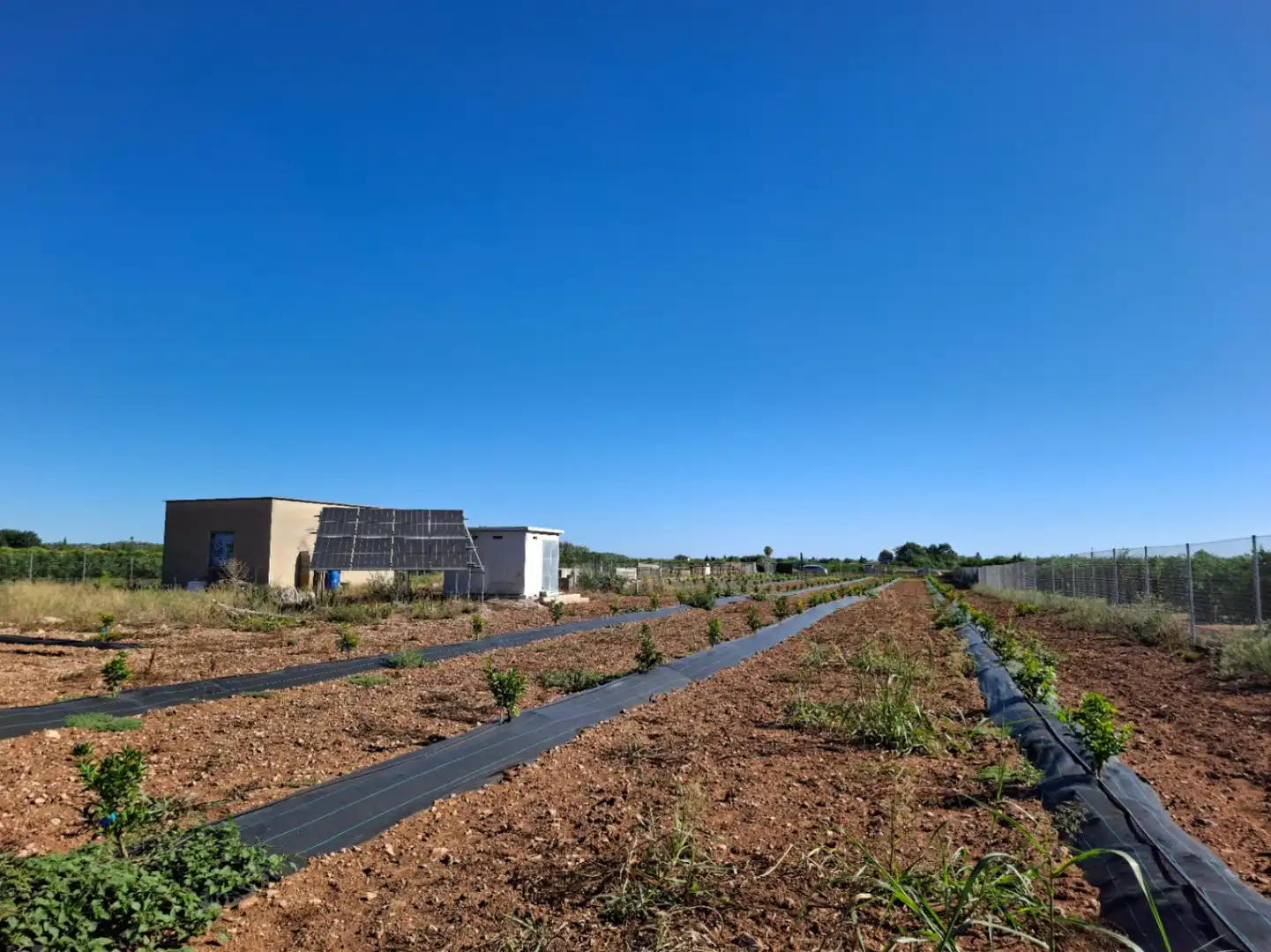 Terreny residencial en venda a Pego, imagen 14