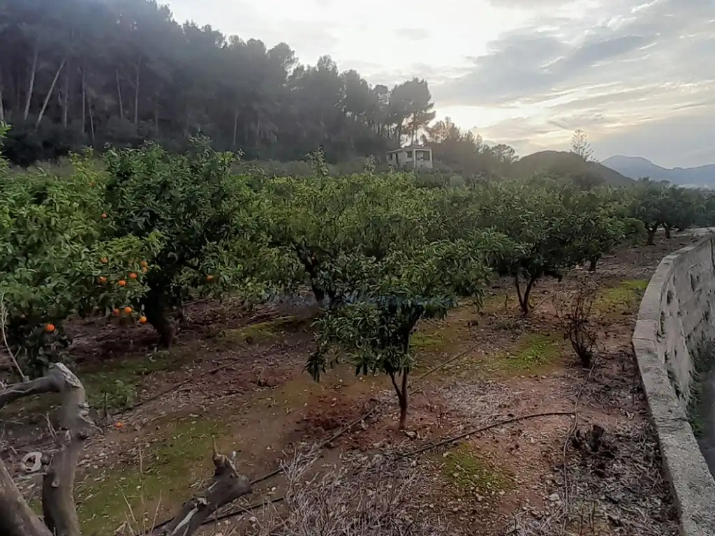 Casa rústica en venda a Partida Sorell, imagen 8