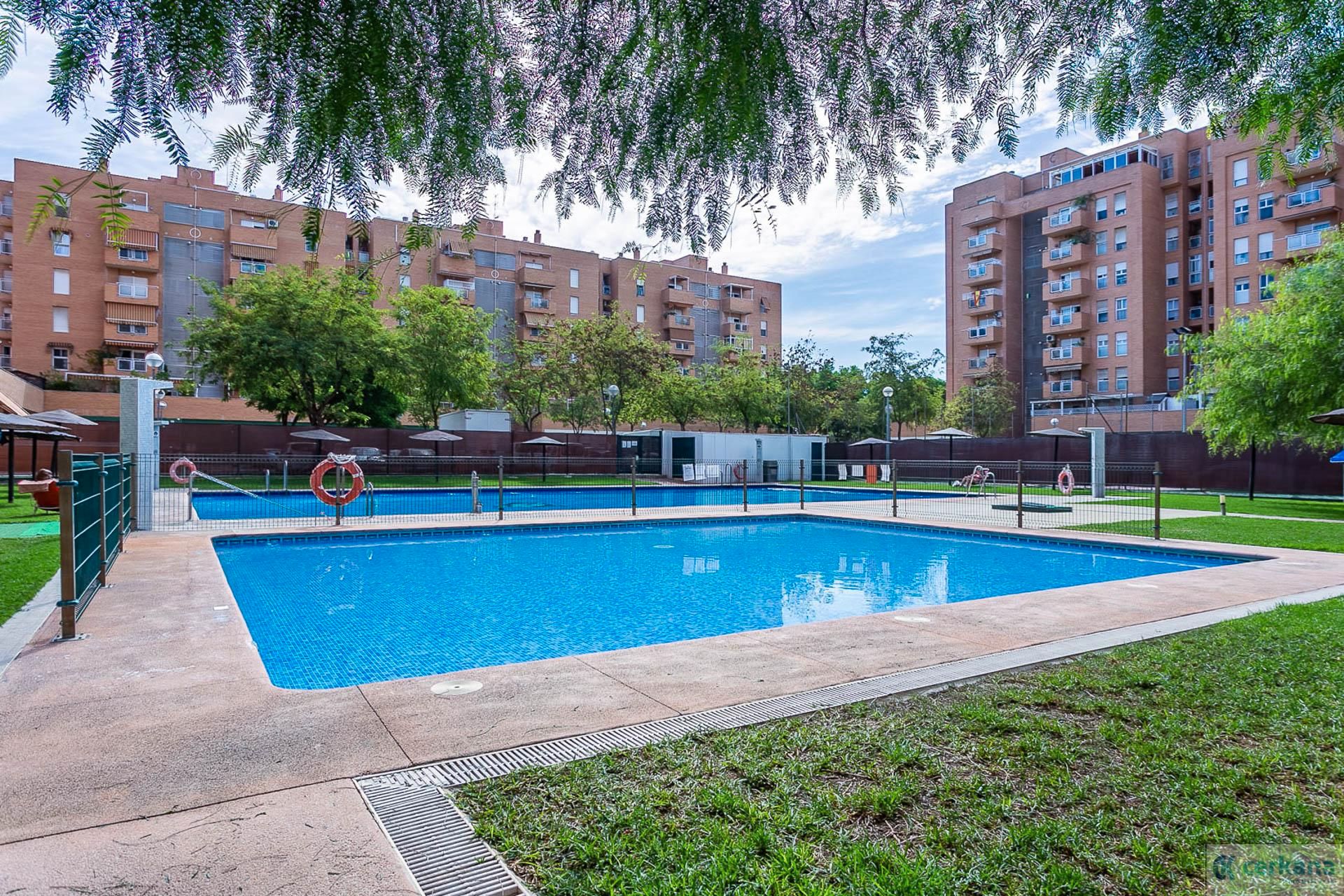 Swimming pool of Flat to rent in  Sevilla Capital  with Air Conditioner, Terrace and Swimming Pool