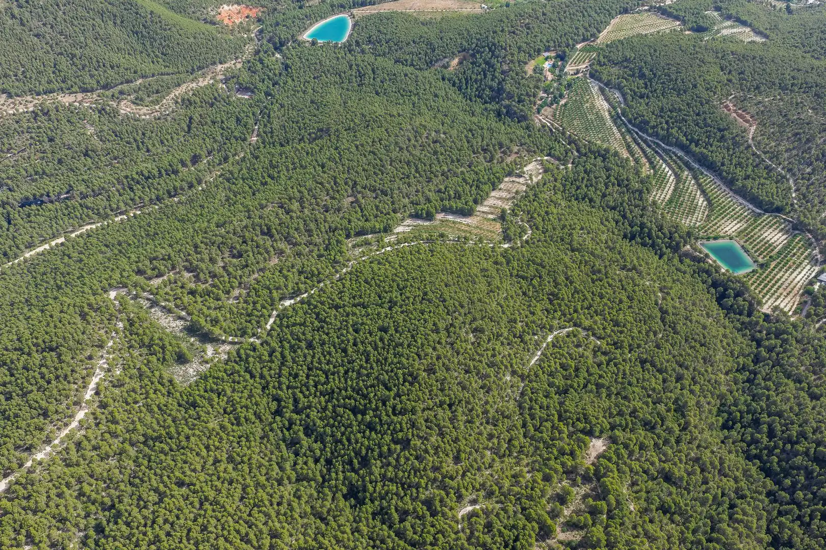 Finca rústica en venta en Moratalla con Piscina