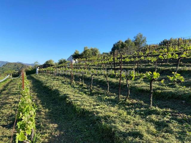 Terreno en Venta en Atajate