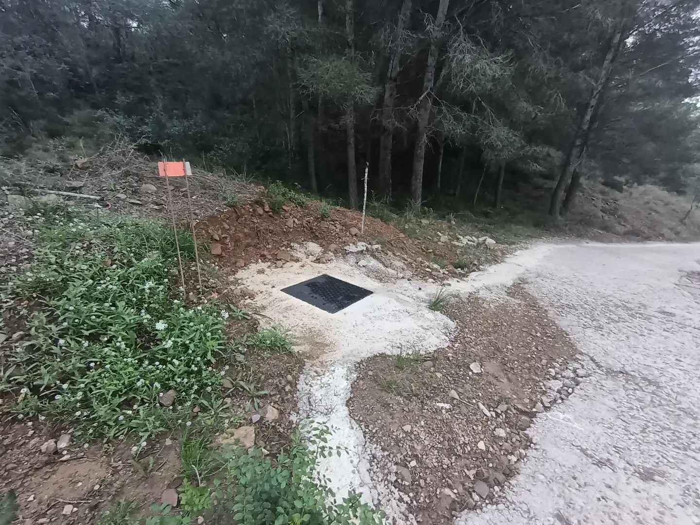 Terreny residencial en venda a Castellvell del Camp, imagen 6