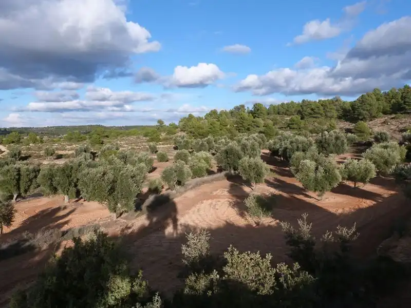 Finca rústica en venta en Valjunquera