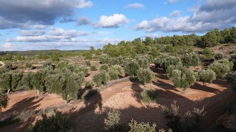 Foto 5 de Finca rústica en venta en Valjunquera, Teruel