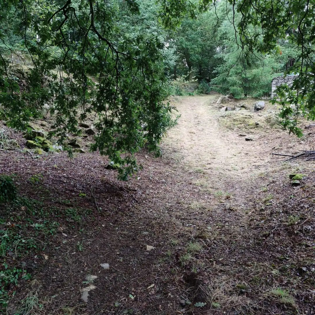 Land for sale in Cotobade
