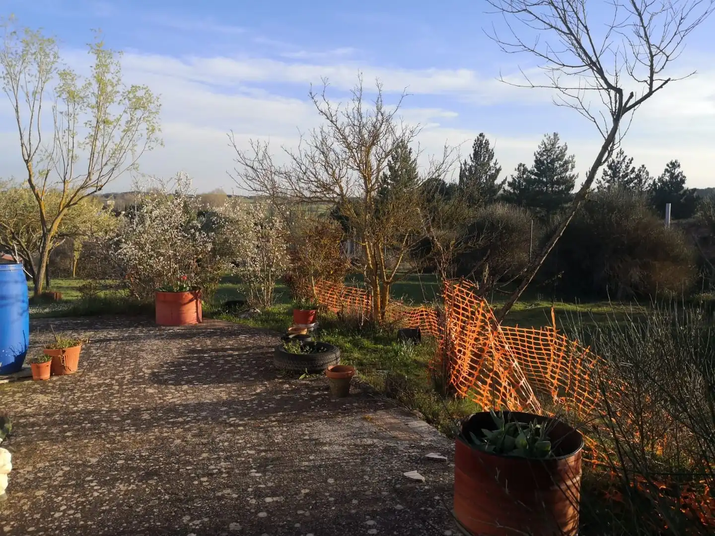 Terrassa de Finca rústica en venda en Modúbar de la Emparedada amb Jardí privat i Terrassa