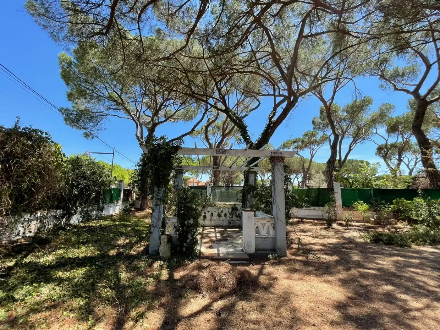 Jardí de Casa o xalet en venda en Valladolid