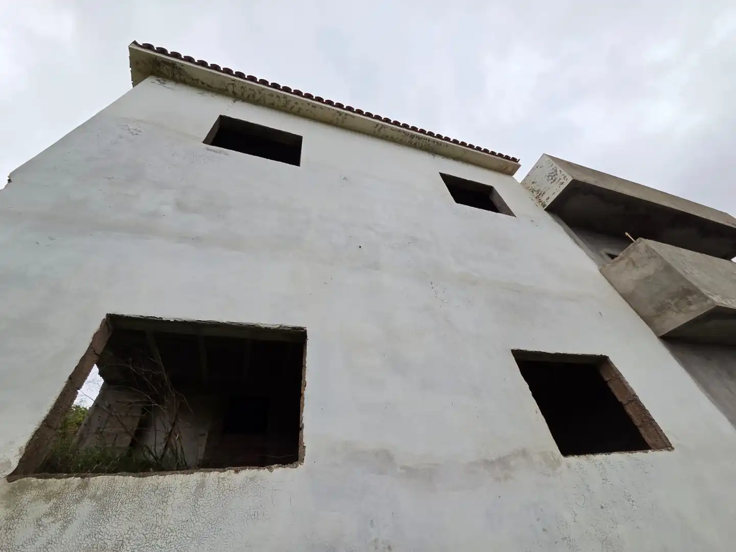 Vista exterior de Finca rústica en venta en Tegueste