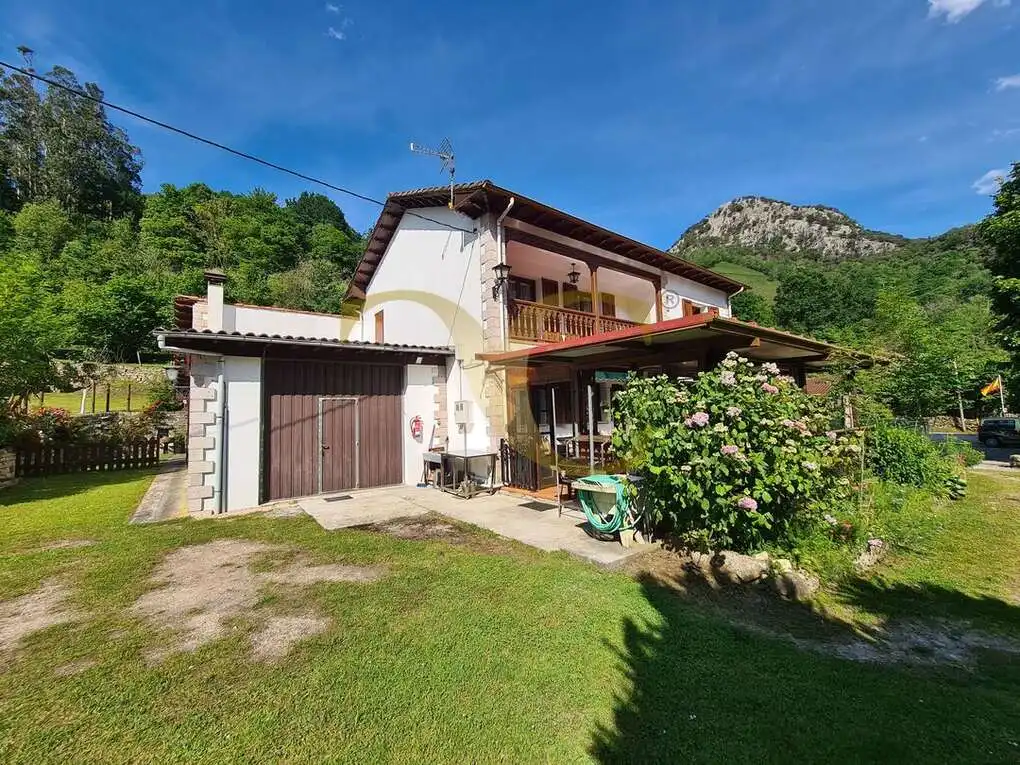 Vista exterior de Casa o xalet en venda en Peñamellera Alta amb Calefacció, Jardí privat i Terrassa