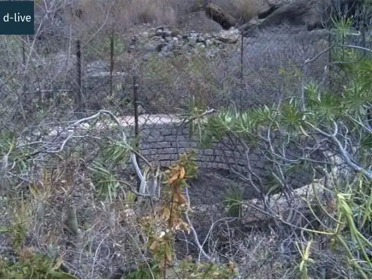 Terreno rústico en venta en Mogán pueblo, imagen 11