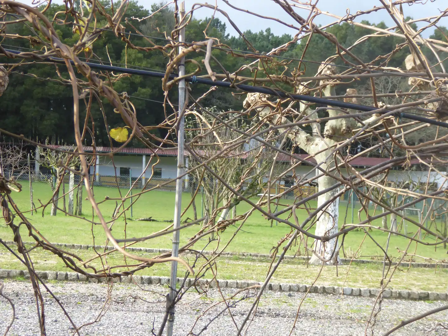 Garten von Country house zum Verkauf in Tui mit Klimaanlage, Heizung und Privatgarten