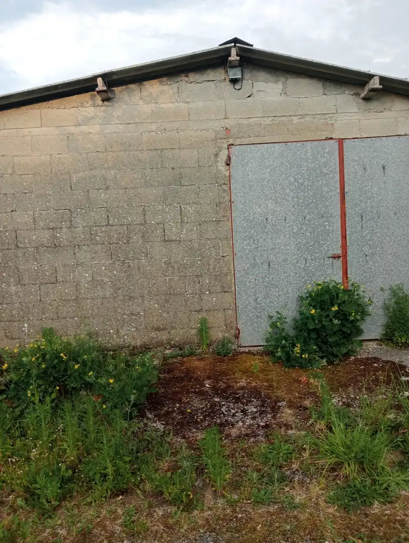 Exterior view of Houses for sale in Vilarmaior  with Private garden