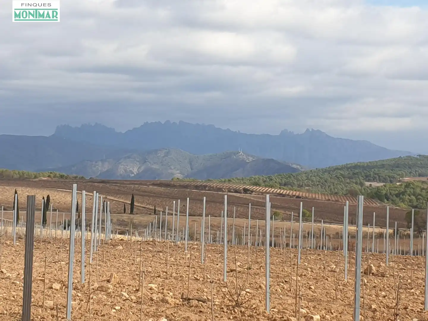 Finca rústica en venda en Vilafranca del Penedès