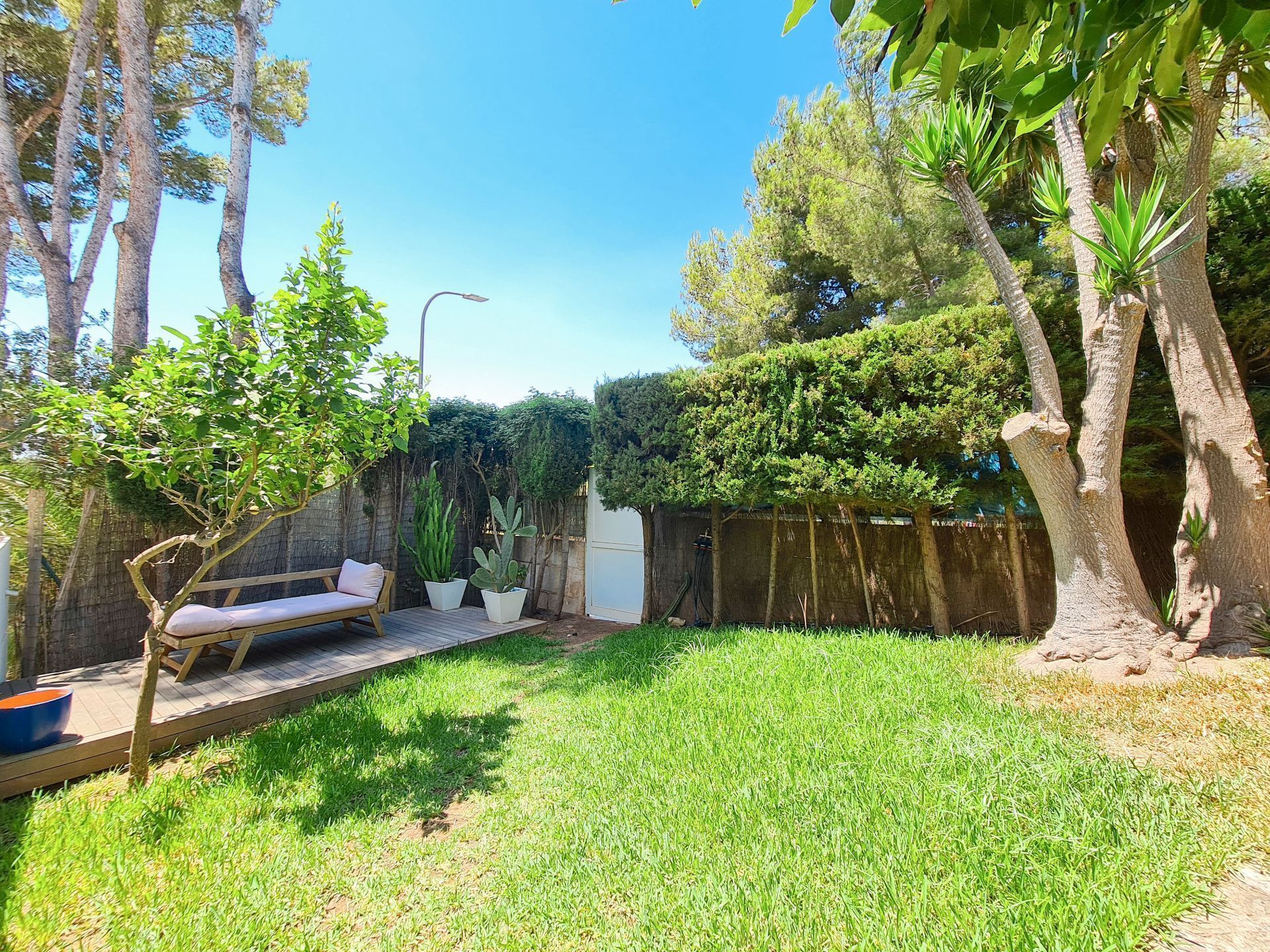 Jardí de Apartament de lloguer en Calvià amb Aire condicionat, Calefacció i Jardí privat