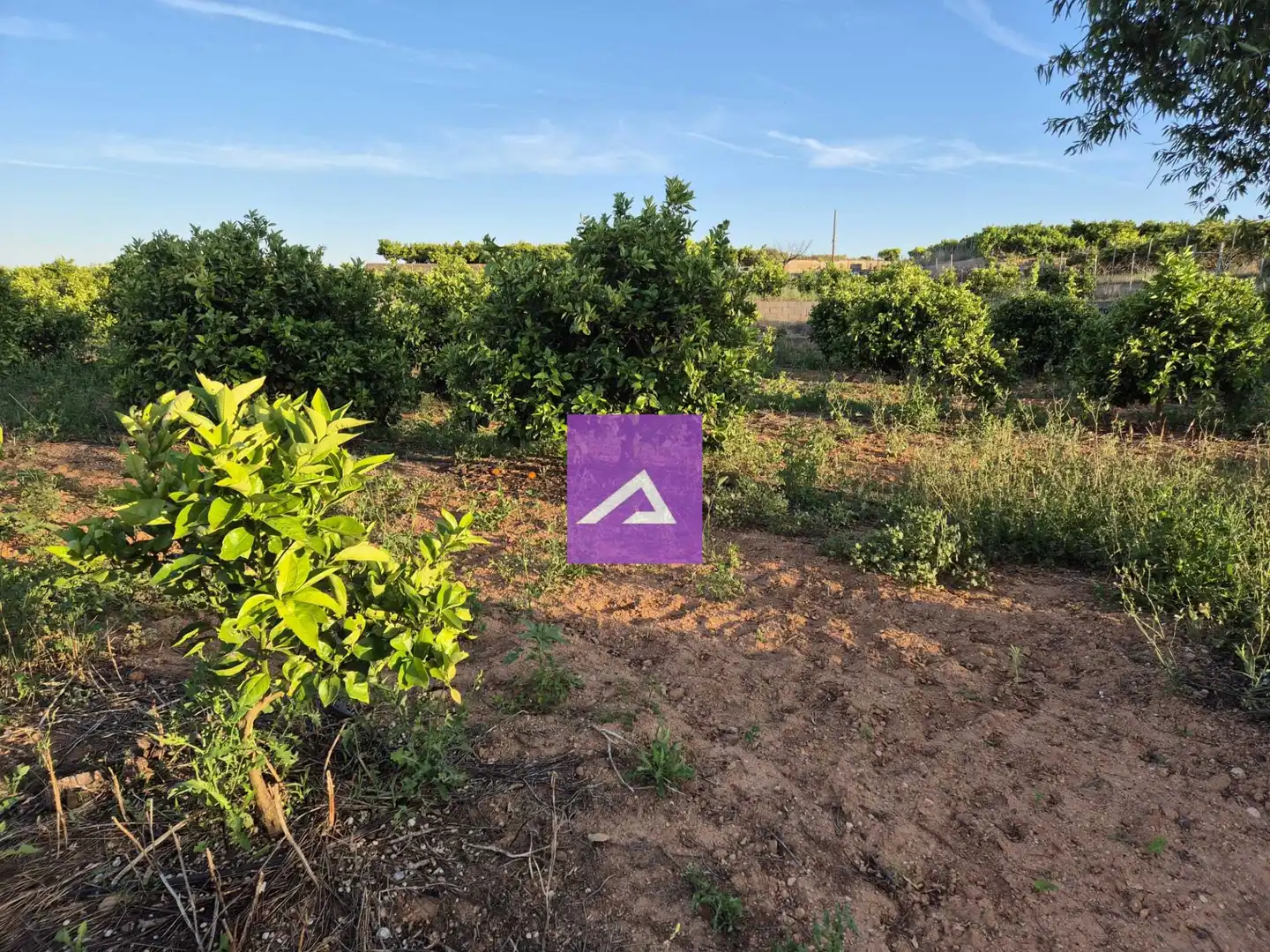 Land for sale in Picassent