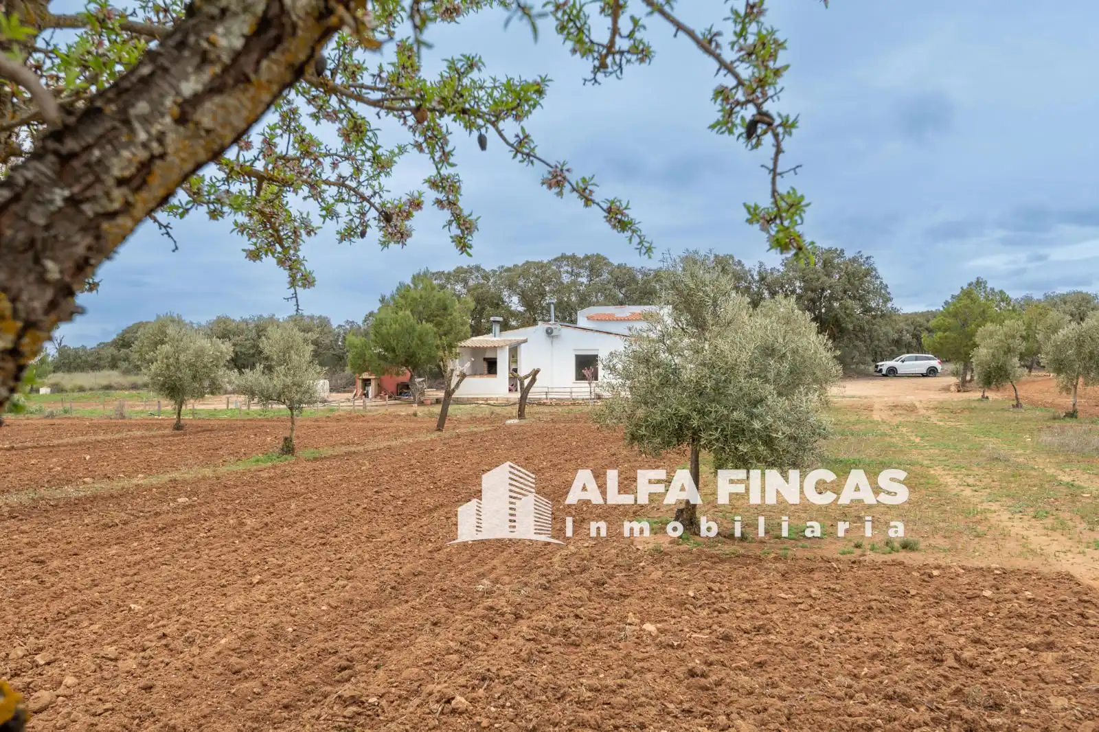 Vista exterior de Casa o xalet en venda en Villarrobledo amb Aire condicionat, Calefacció i Jardí privat